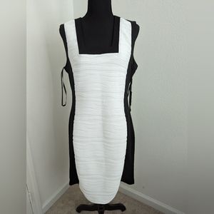 Calvin Klein Black and Ivory Dress Size 12